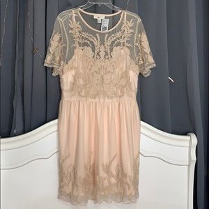 COPY - NWT plus size blush pink lace short dress